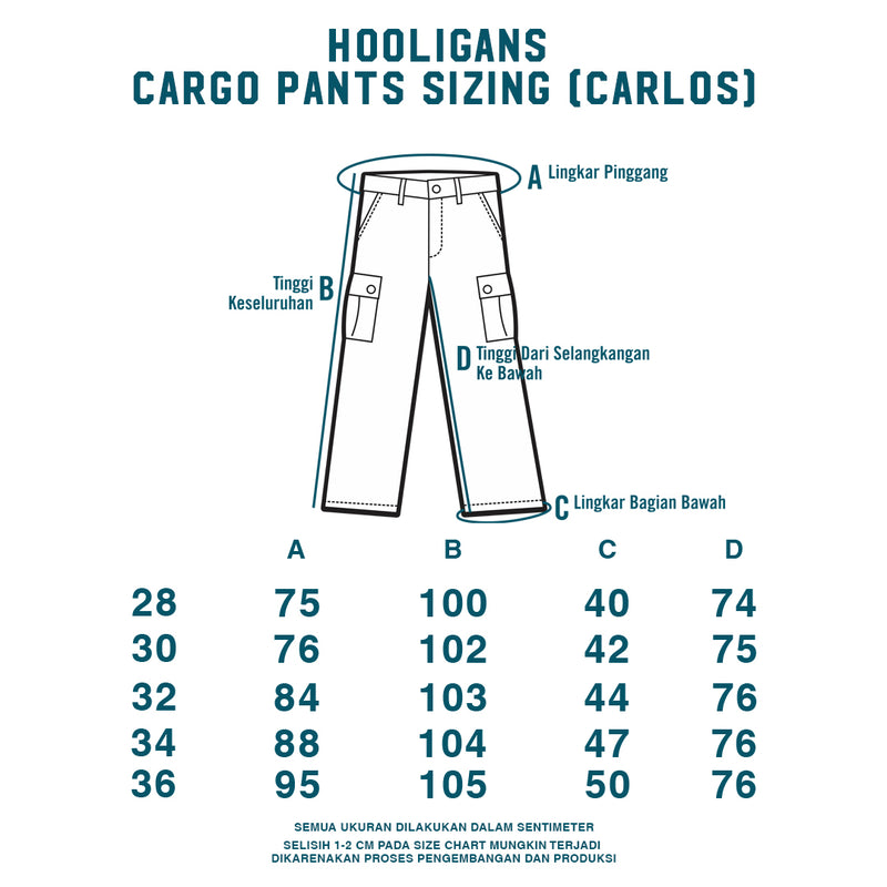 HOOLIGANS Long Cargo Carlos Gray - Loose Fit