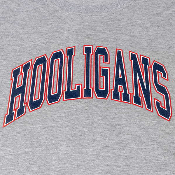 HOOLIGANS T-Shirt VAR Tricolore Misty