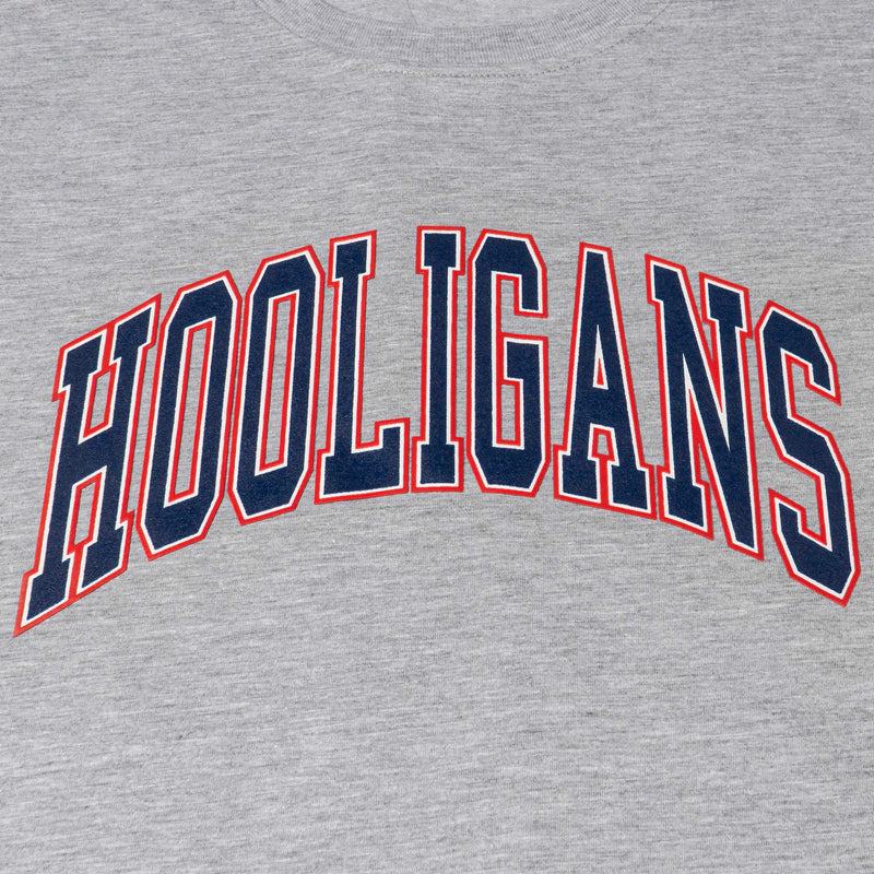 HOOLIGANS T-Shirt VAR Tricolore Misty