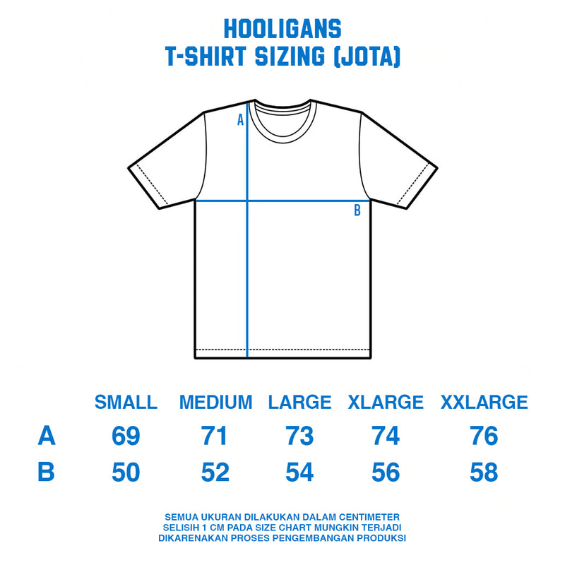 HOOLIGANS T-Shirt Jota Strike EAZY 195 - Smoke Gray